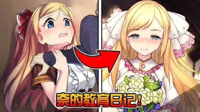 奈的教育日记 奈的教育日记中文版下载安卓版 封面图